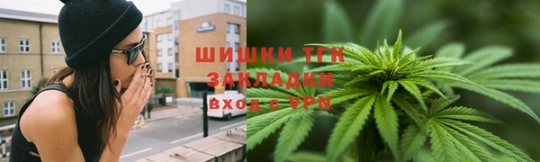 шишки Алзамай