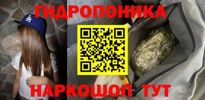 амф Гусь-Хрустальный