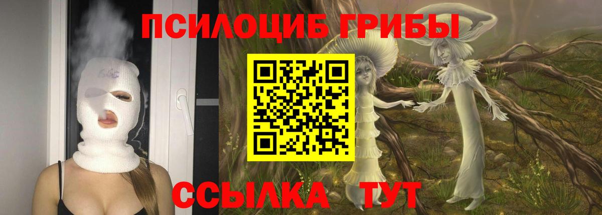 Муравленко  Псилоцибиновые грибы GOLDEN TEACHER  Вход с VPN  Галлюциногенные грибы Cubensis 